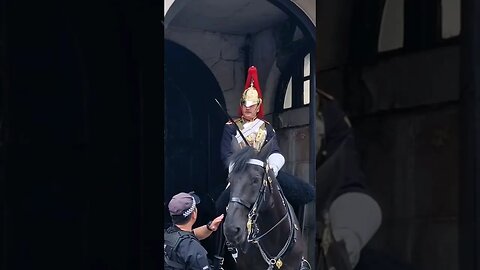 She screams police come and check on the guard #horseguardsparade