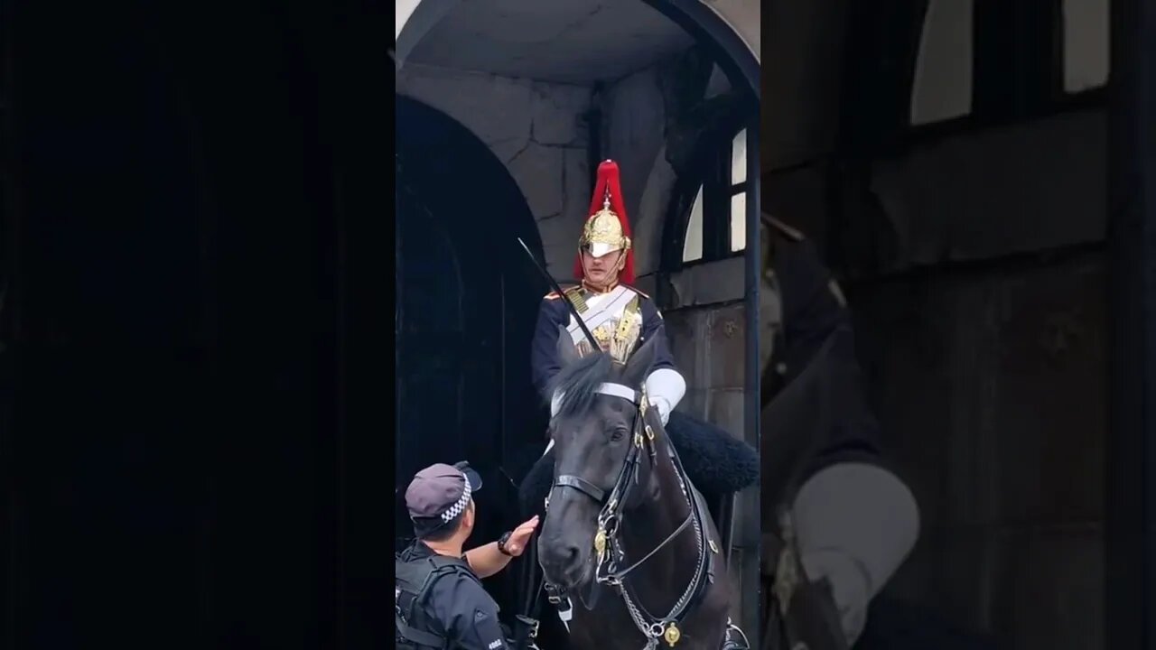 She screams police come and check on the guard #horseguardsparade