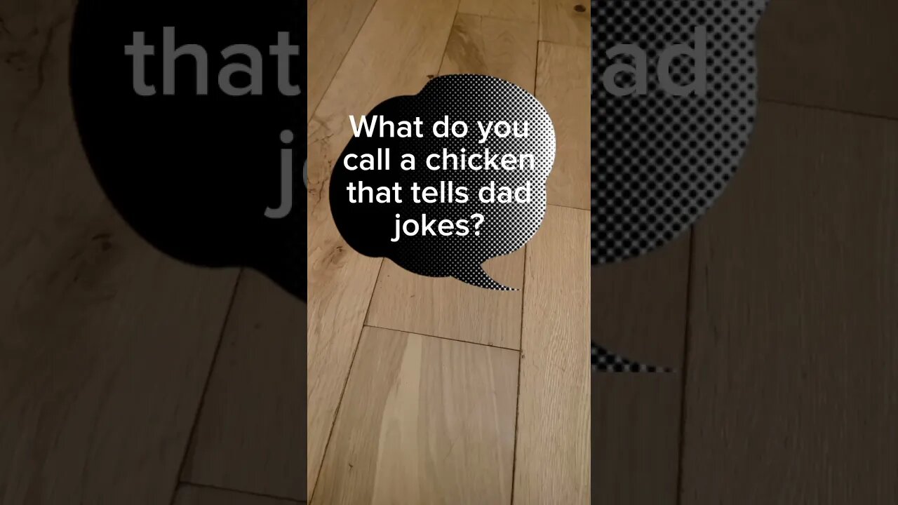 Chicken dad joke #dadjokes #jokes #funny