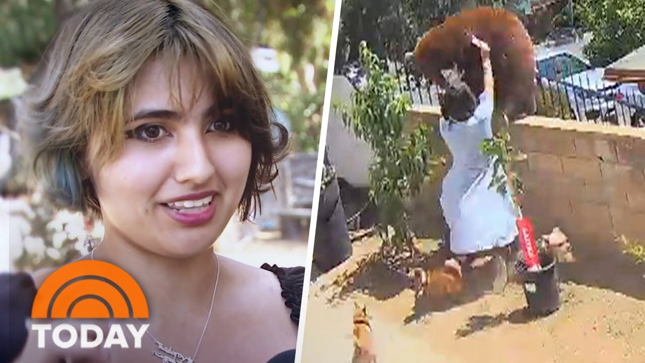 Teen Who Shoved Bear In Viral Video Explains Her Thought Process FULL HD