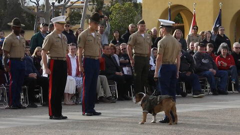 Cpl. Manny's Promotion