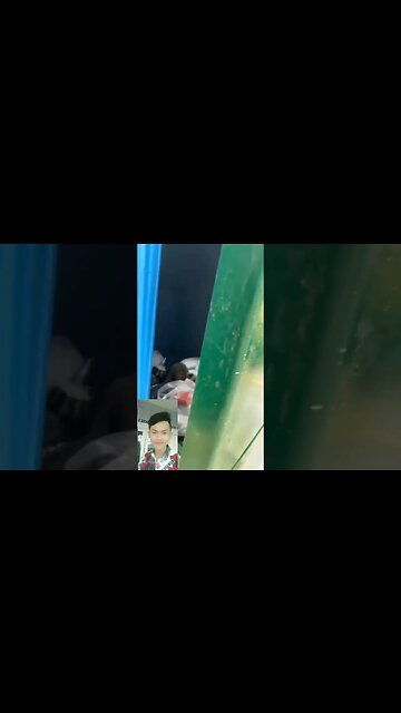 video lucu bikin ngakak / meme indonesia reaction / video lucu indonesia part 5 #shorts