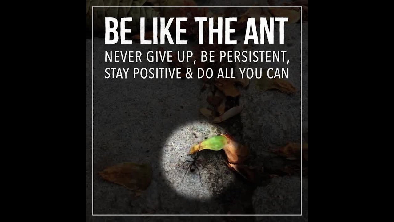 Be like the ant [GMG Originals]
