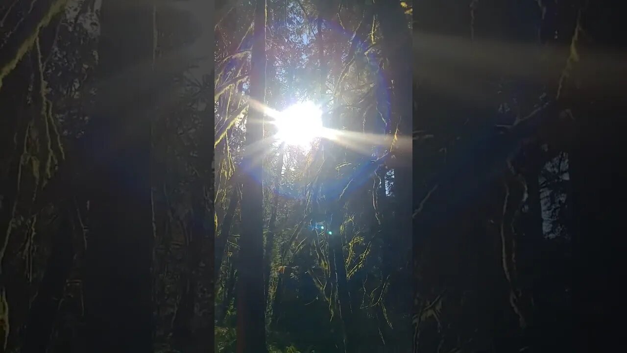 Sacred Portal of the Pacific Northwest - Happy Equinox Solaris Rises in the Center the Middle Path