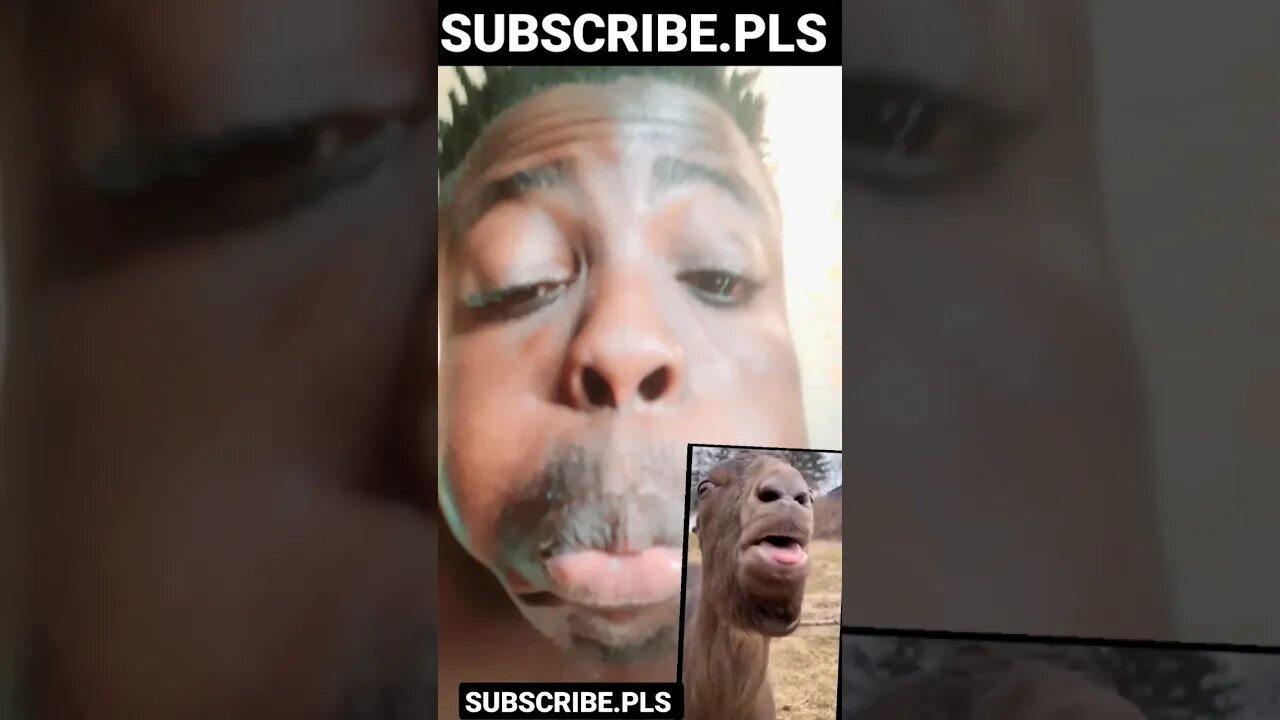 G.O.A.T 🐐 #funny #tiktok #dontlaugh #comedy #ytshorts #funnylaugh