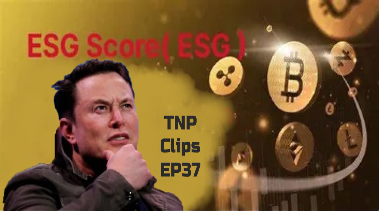 Elon, Bitcoin, and ESG Scores TNP Clips EP37