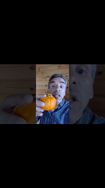 Cuidado com a sua alimentação e de seus filhos na lancheira #reflexão #saude #noticias #shorts