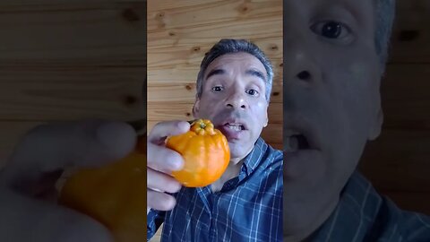 Cuidado com a sua alimentação e de seus filhos na lancheira #reflexão #saude #noticias #shorts
