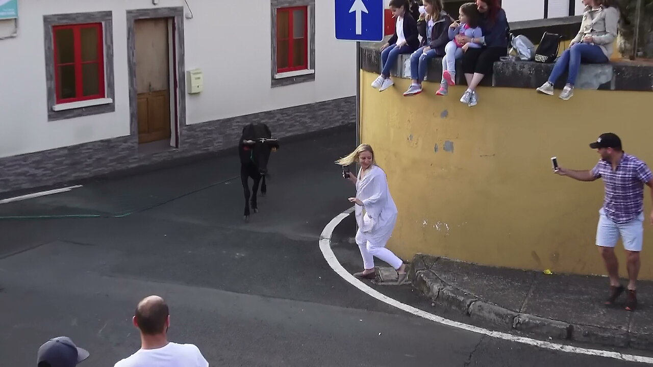Ganadaria HF - Vacada Vila Nova 2018 - Ilha Terceira - Açores