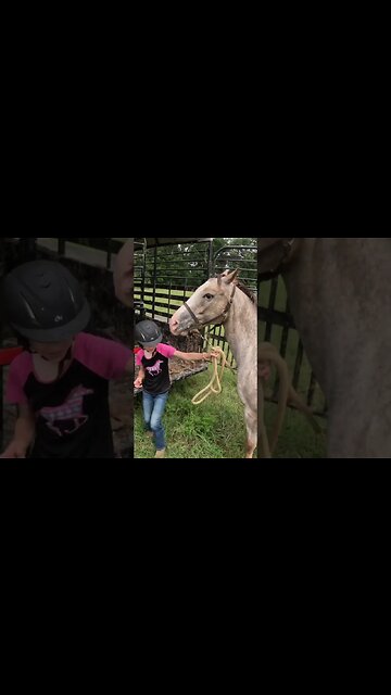 A little weekend cowboyin’! #cowboy #horse #pony #cattle #cowgirl #farm #farmlife #ranch #ranchlife
