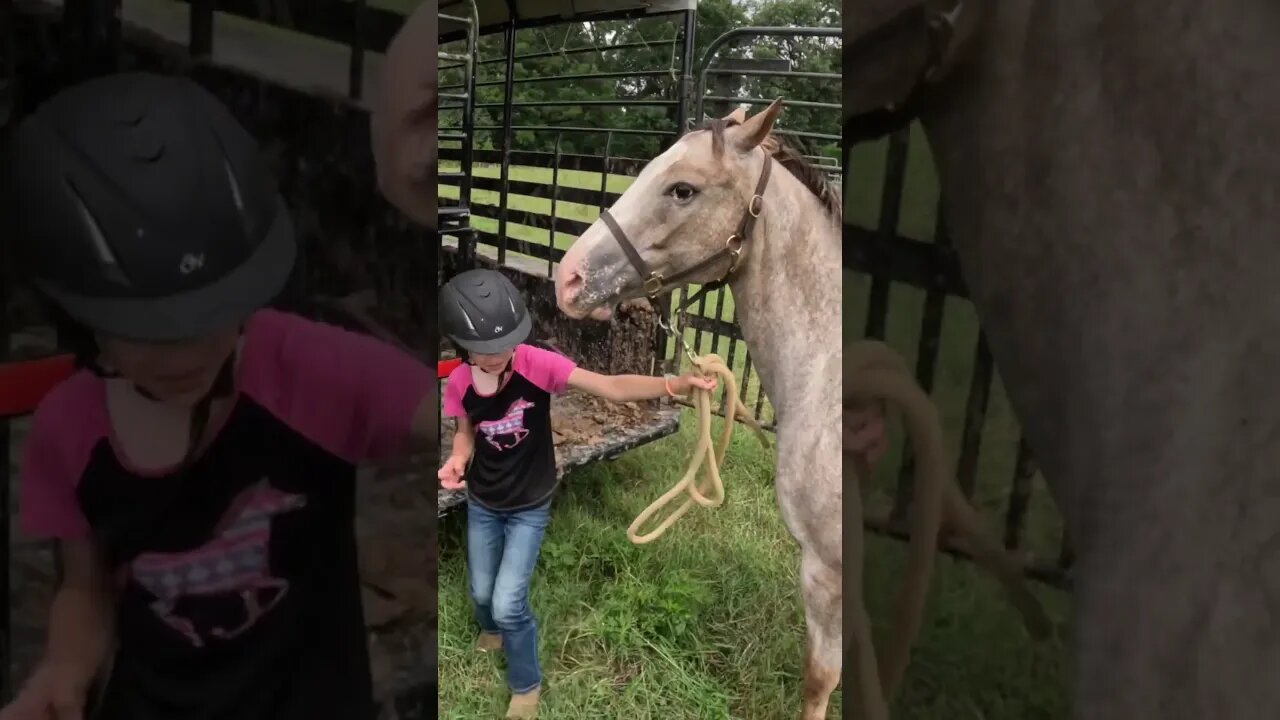 A little weekend cowboyin’! #cowboy #horse #pony #cattle #cowgirl #farm #farmlife #ranch #ranchlife