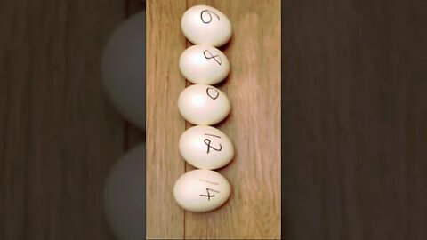 perfect boiled eggs @BOILINGEGG @cooking