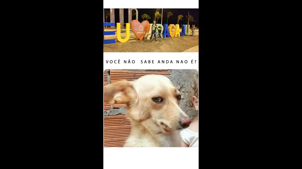 Não sabe andar não é? #shorts
