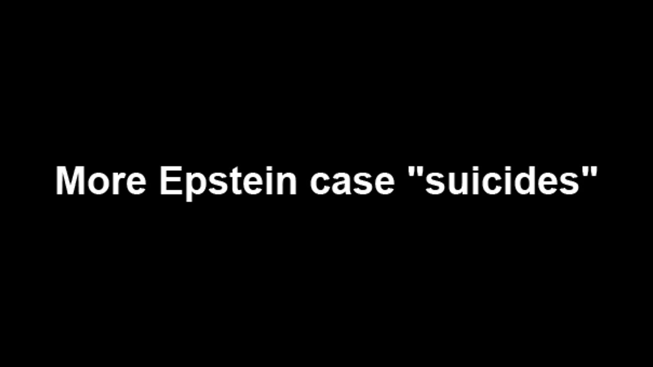 More Epstein case "suicides"