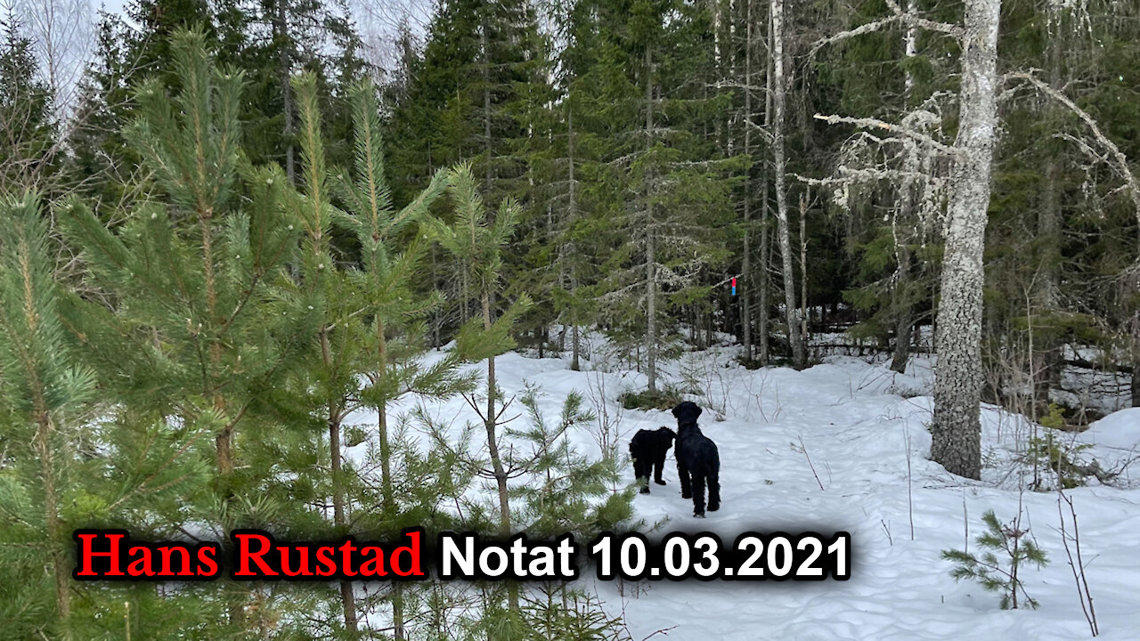 Hans Rustad notat 10.03.2021 Fimbulvinter