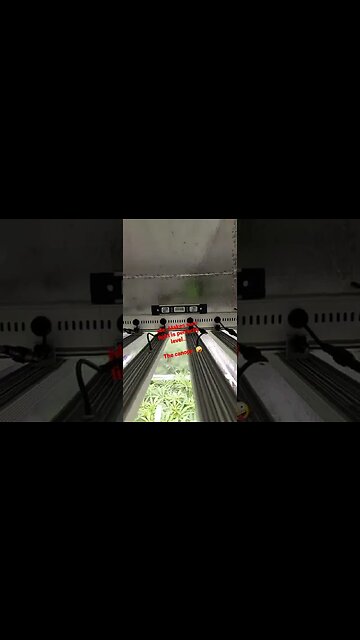 January 22, 2022 #shorts