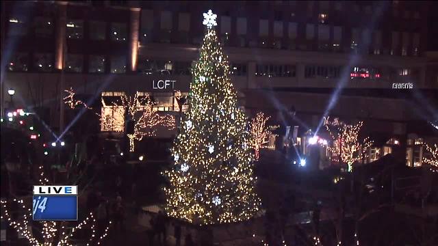 Bayshore Tree Lighting Ceremony