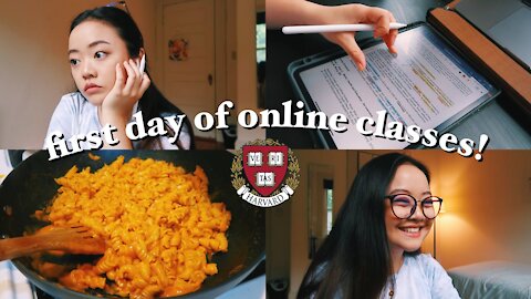 first day of online classes: harvard sophomore vlog! || pre-med neuroscience