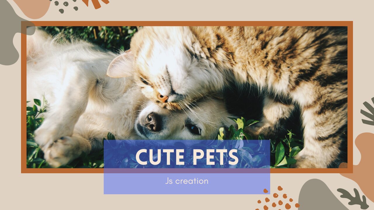 Cute Pets plays
