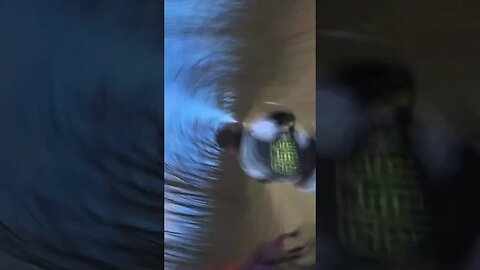 Two snails on two wheels - Riding together | #shorts