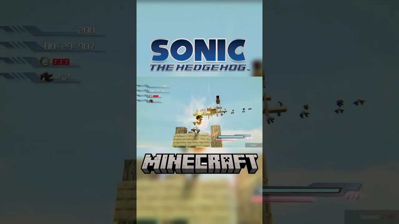 Sonic Meets Minecraft | Parkour | Sonic the Hedgehog P-06 eXtended