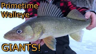 Ice Fishing For Big Walleye with BIG Live Bait