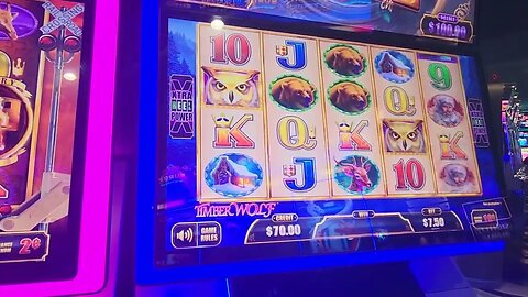 Stingy Luxury Line Slot Machine / River Spirit Casino Tulsa