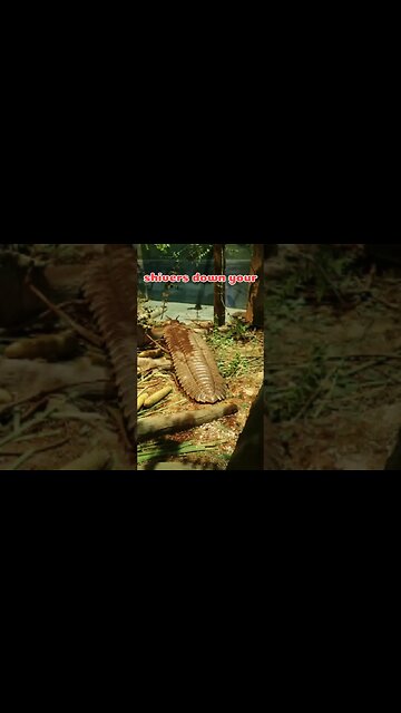 Arthropleura #shorts #shortsfeed #shortsviral #shortsviral #didyouknow #viral #facts #factshorts