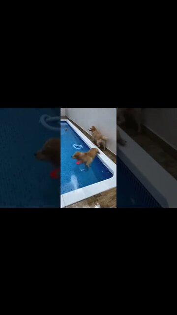 Baptism Ceremony , #short