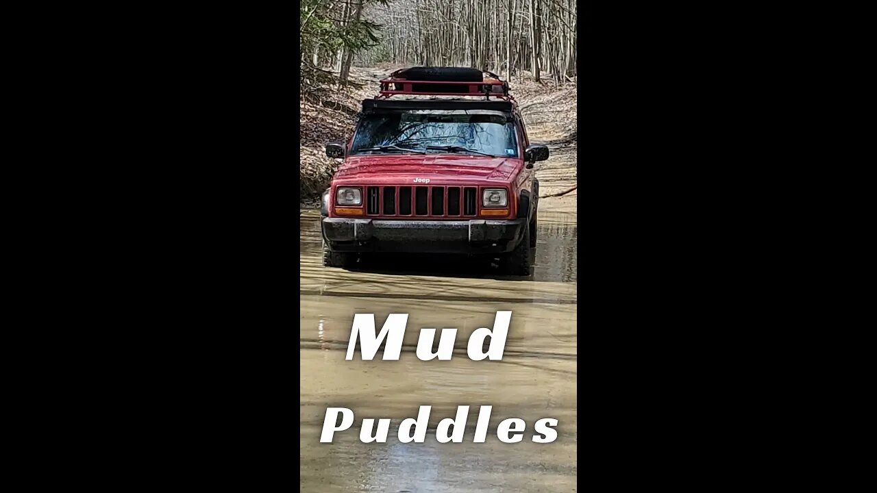 Jeep Cherokee XJ Mud Puddle Fun in Quehanna Wilderness #shorts