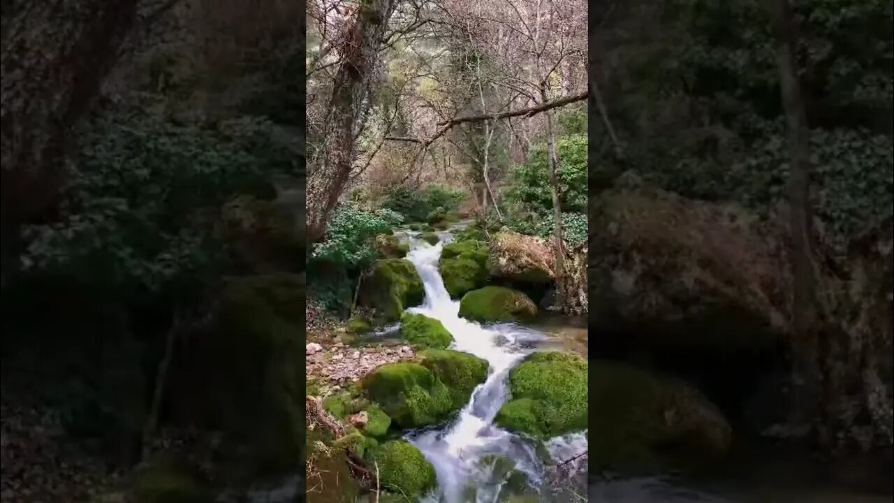 Soothing Sounds for Relaxation • Calm• Meditation & Yoga • Nature Sound
