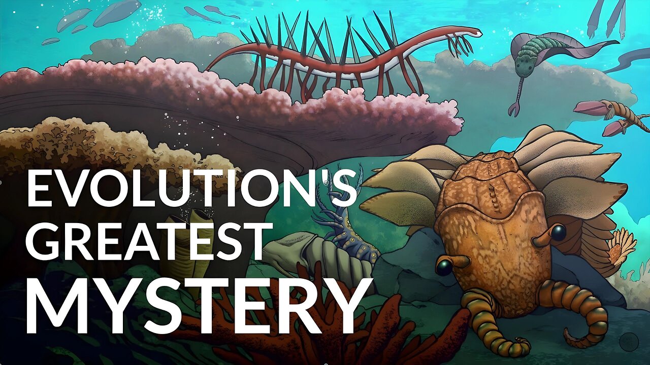 What Caused The Cambrian Explosion?