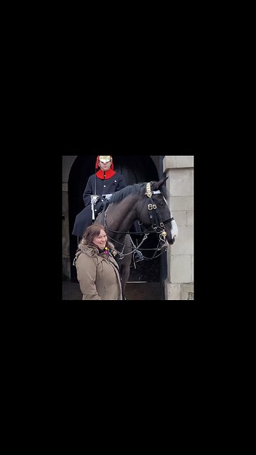 The horse pushes her away #horseguardsparade