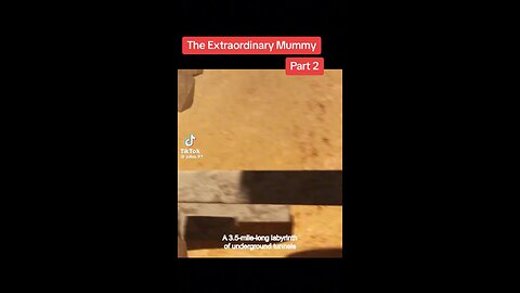 The extraordinary Mummy