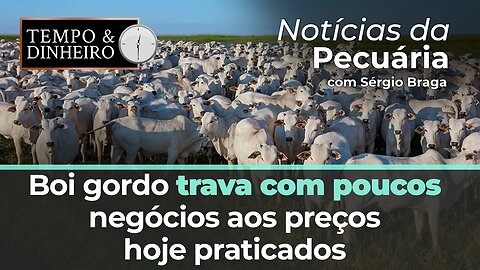Boi gordo trava com poucos negócios. JBS deve instalar indústrias na China