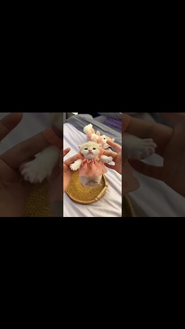 theres hair in my food 😻