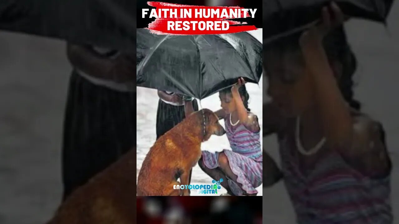 Kindness Videos | Short Quotes for Random Act of Kindness #Kindess #Shorts #Viral