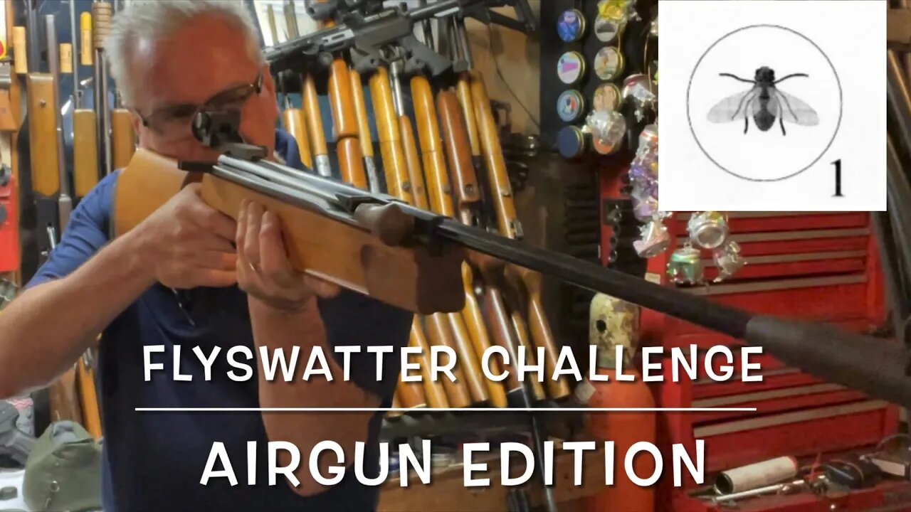 @Dayattherange flyswatter challenge airgun edition reimagined Walther LGR .177 SSP off hand!