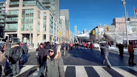 Convoy for freedom, freedom Toronto