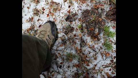 Sasquatch Track Found Before Road Opens in Canyon