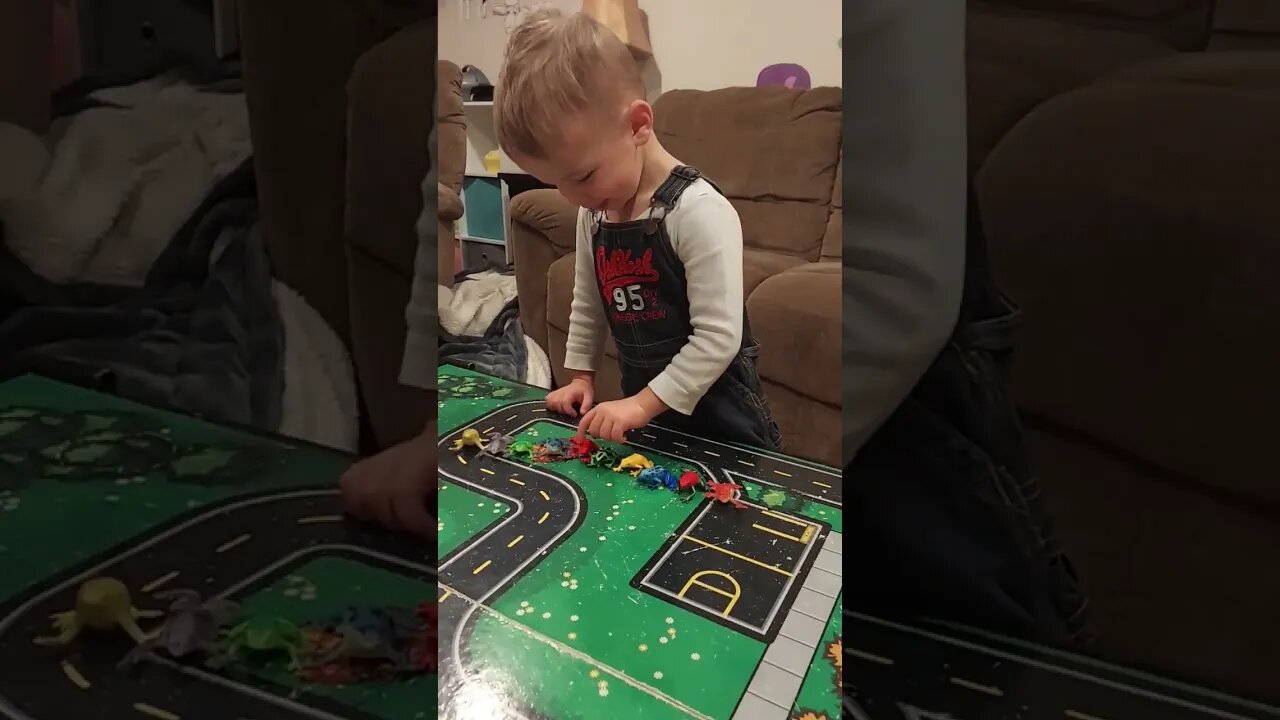 Count'in Froggies