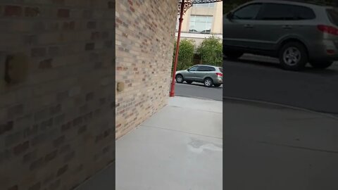 Same strange brake light #gangstalker every morning 10/12/2022