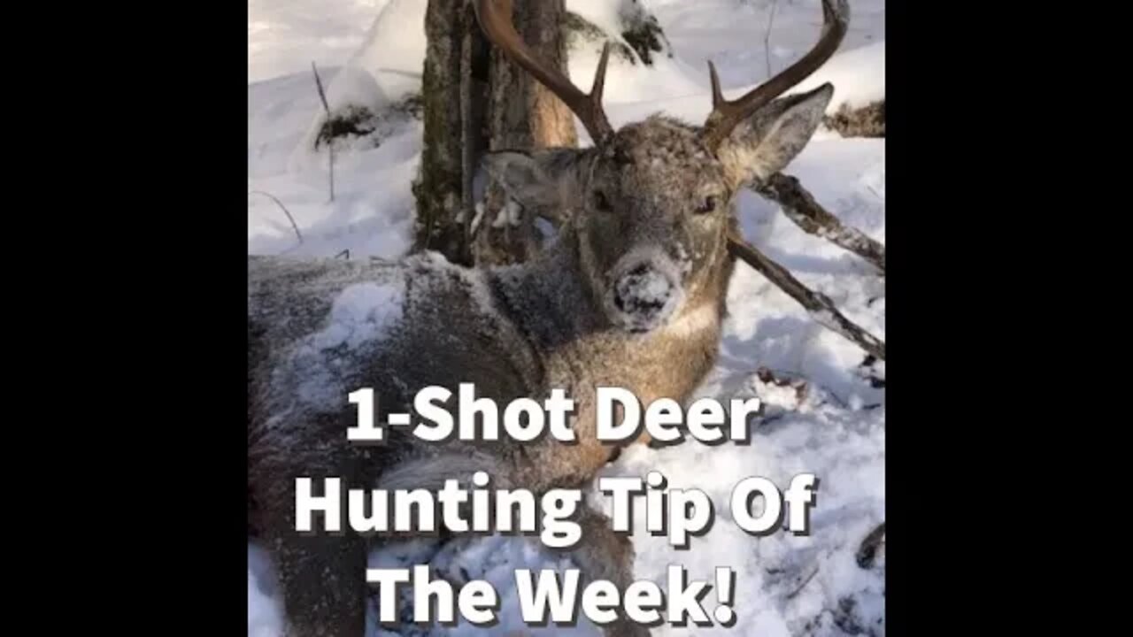 1-Shot Deer Hunting 2022: Deer Hunting Tip Of The Week - Best Time To Kill a Buck!