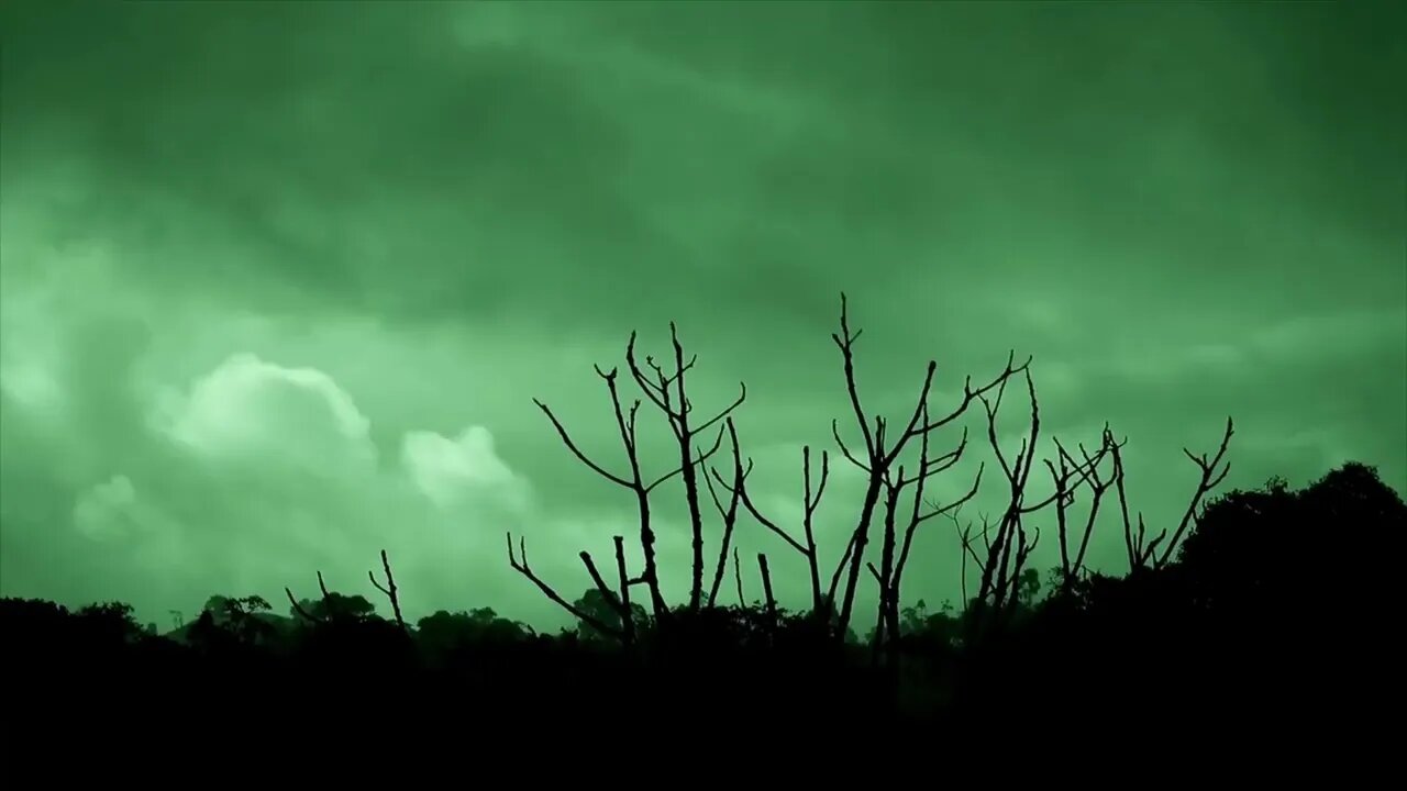 Tasty Outside The Box