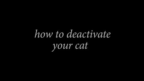 HOW TO DEACTIVATE A CAT