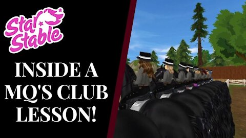 15 FREQUENTLY ASKED QUESTIONS ANSWERED! Star Stable Quinn Ponylord