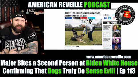 Major Bites a Second Person at Biden White House Confirming That Dogs Truly Do Sense Evil! | Ep 113