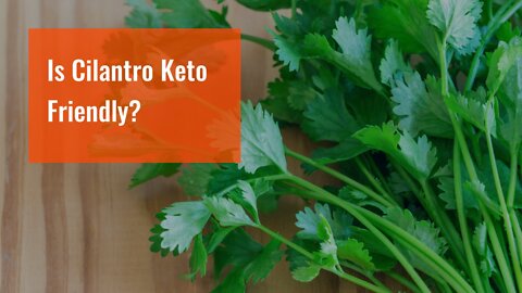 Is Cilantro Keto Friendly?