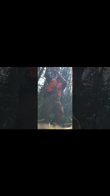 A Montana bear hunting adventure of a lifetime!