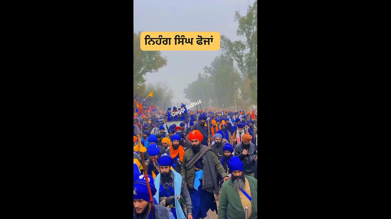ਨਿਹੰਗ ਸਿੰਘ ਫੋਜਾਂ #gaggisidhuz #KisanAndolan #kisanektazindabaad #KisanMorcha #KisanProtest #kisan